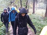 zloty lisc 2017 (27)